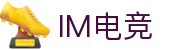 IM(股份有限公司)电竞-电子竞技平台